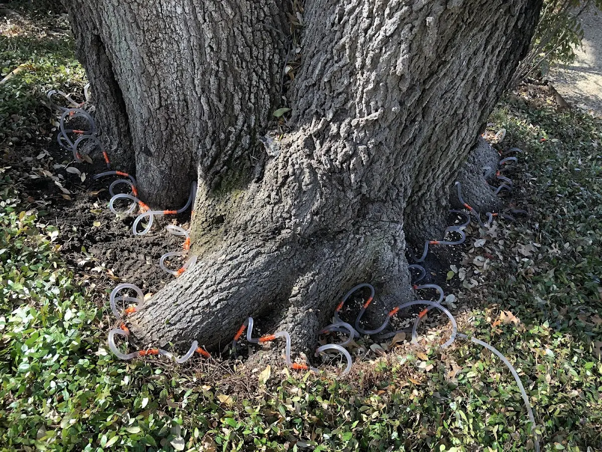 Detailed Shrub and Hedge Trimming job site in Mc Donald
